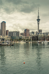 Skyline von Auckland / Neuseeland