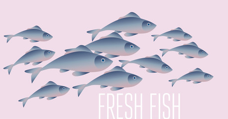 Group of fresh fish vector illustration for header, web, print, card and invitation. Plenty of herring or cod moving in the sea water.