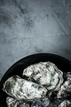 Fresh oysters in shells