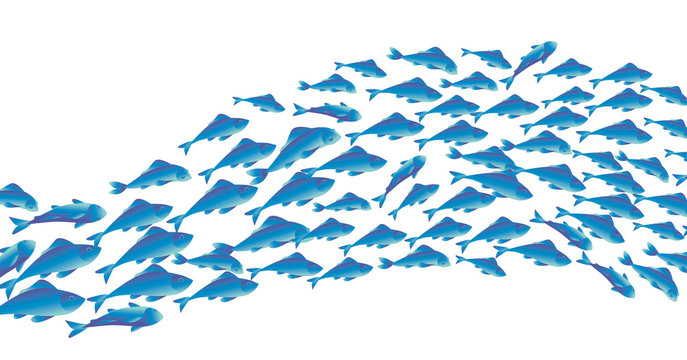 School of fish vector illustration for header, web, print, card and invitation. Plenty of herring or cod moving in the sea.