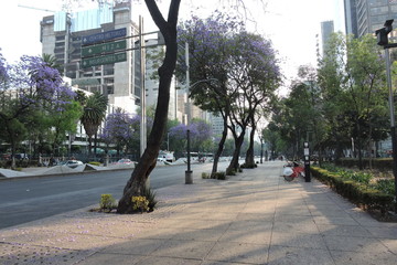 Reforma