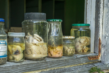 former radio-ecological laboratory (fish farm before accident) in Pripyat, Chernobyl Exclusion...