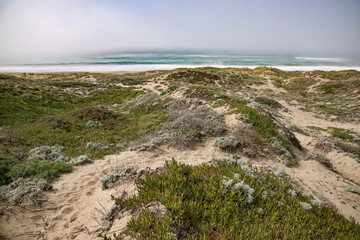Point Reyes National Seashore, California