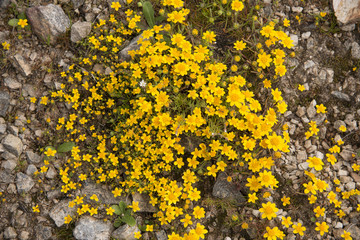 Point Reyes National Seashore, California