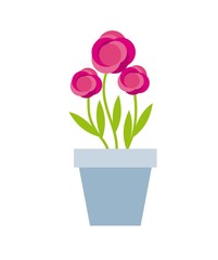 beautiful flower in a pot over white background. colorful design. vector illustration