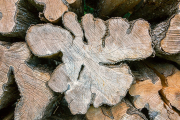 Stack of cut logs fire wood, Venezuela, Latin America