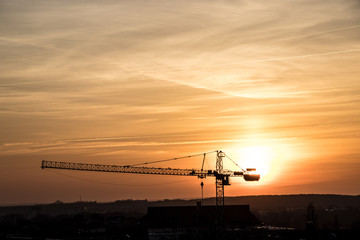 Crane in the sunset