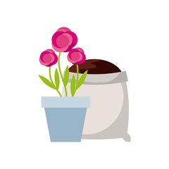 beautiful flower in a pot and soil bag icon over white background. colorful design. vector illustration