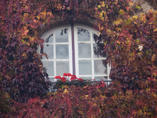 blois,loir et cher,france