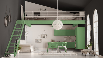 Scandinavian minimalist loft, one-room apartment with green kitchen, living and bedroom, classic interior design