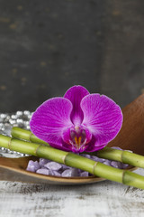 wellness concept with orchid and bamboo