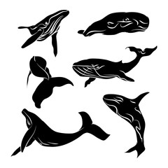 Big whale  black silhouette with no outline on a white background (vector illustration)