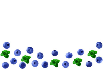 Bilberry and branch of mint background