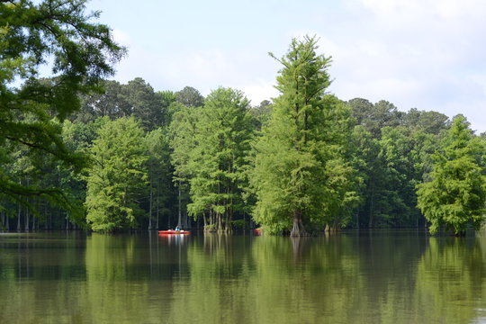 Stumpy Lake