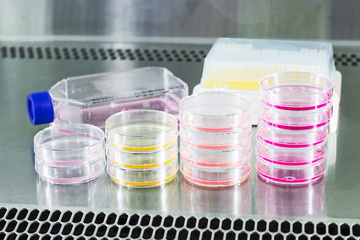 Cancer research equipment