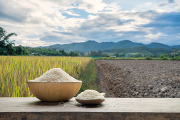 Fototapeta na wymiar White rice or uncooked white rice in a wooden bowl and wooden spoon with the rice field background