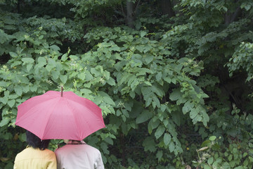 Friends holding umbrella