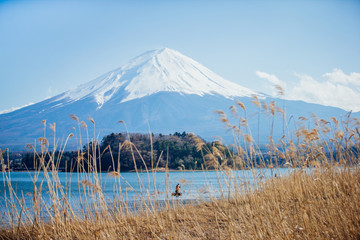 Fototapeta na wymiar mt.Fuji in kawaguchiko lake,Kawaguchiko lake of Japan,Mount Fuji, Kawaguchi Lake, Japan.