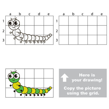 Copy the image using grid. Millipede.