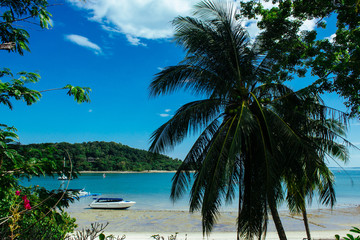 Fototapeta na wymiar The boats on palm beach. The parked boats on the beach with the palms growing.