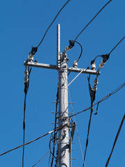 電線と電柱
