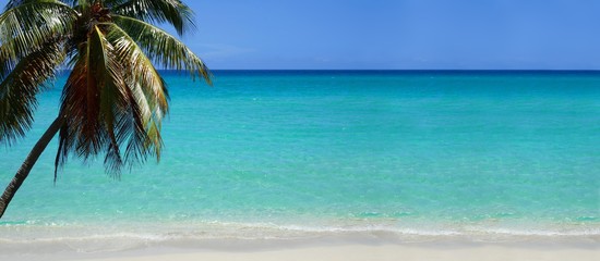 Strand in der Karibik