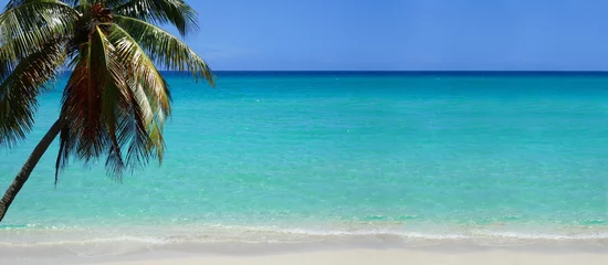 Gordijnen Strand in het Caribisch gebied © pattilabelle