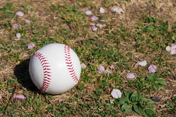 野球のボール