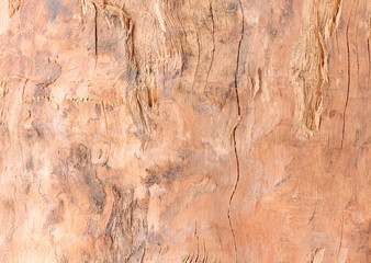 Lumber