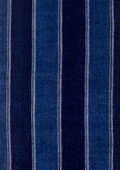 Fototapeta premium Stripe