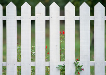 Fence