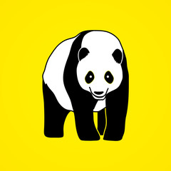 Panda standing graphic vector.