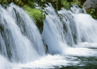 Fototapeta premium Stream