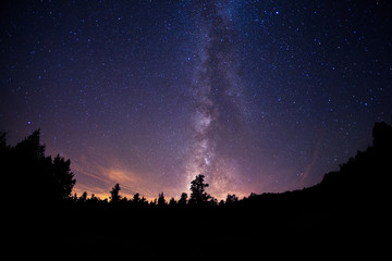 Milkyway Rising From Tree