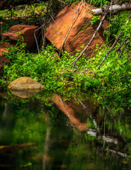 Serene Mountain Pond