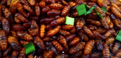 worm fried background or worm fried at street market