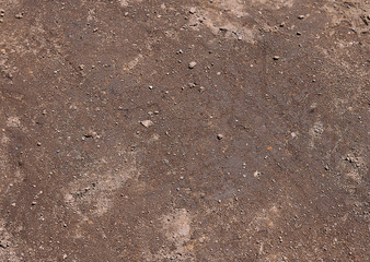 Soil