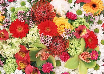 Flowers