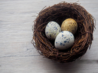 quail eggs, decor Easter