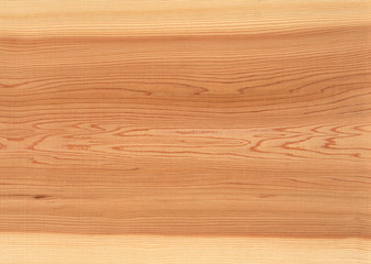 Naklejka premium Akita Cedar
