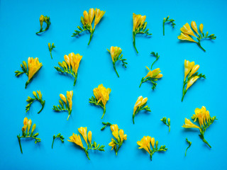Fototapeta na wymiar Yellow flowers on light wooden background. High top view.