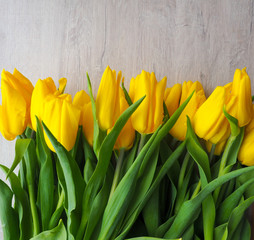 bright yellow tulips on wood background, empty space for text