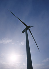 Wind Electricity