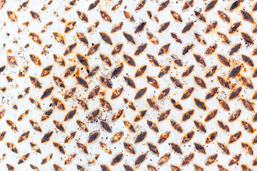 Rusty metal grunge background