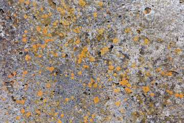 texture of the old cracked paint