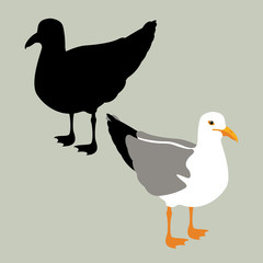 seagull vector illustration style Flat set black silhouette