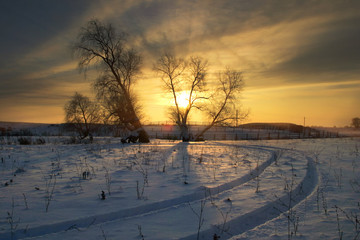 Fototapeta na wymiar Walk through the beautiful places frosty Russian winter