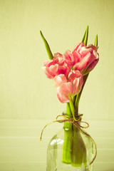 Fresh pink tulip flowers bouquet in a glass jar on white background