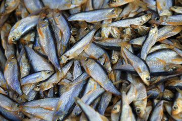 dried fish