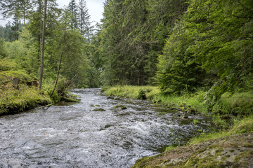 Fototapeta na wymiar Bergbach fließt durch den Wald